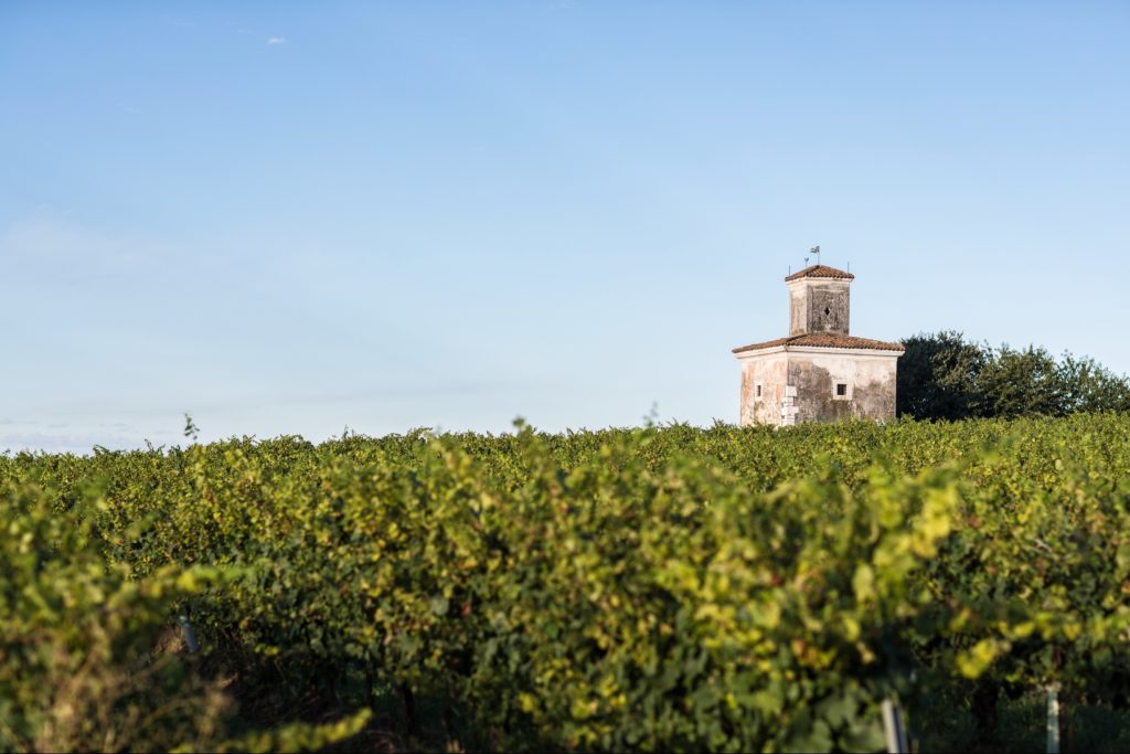 Vigneto Mirabella